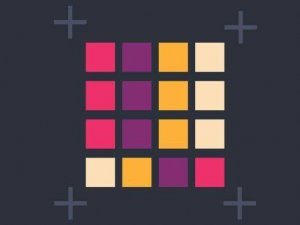 Ring Collection Puzzle Challenge