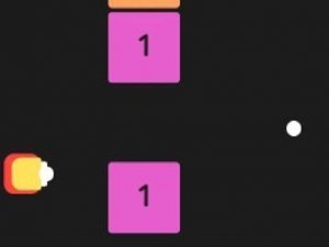 Clear Path Puzzle