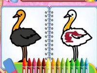 Coloring Birds Online Game - Fun Bird Coloring Game