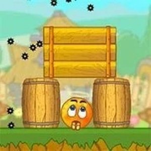 Orange Shelter Logic Puzzle
