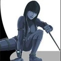Moon Shadow Stealth Puzzle