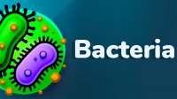 Bacteria Online Game: Creature Evolution Simulator